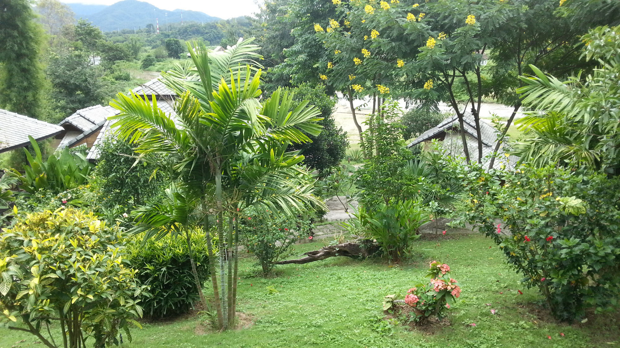 Pai Love & Baan Chonphao Resort Zewnętrze zdjęcie
